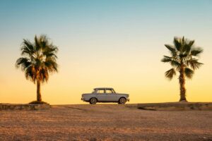 a car between two palm trees