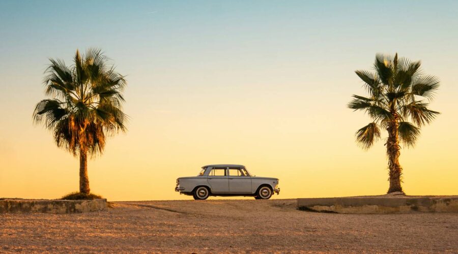a car between two palm trees