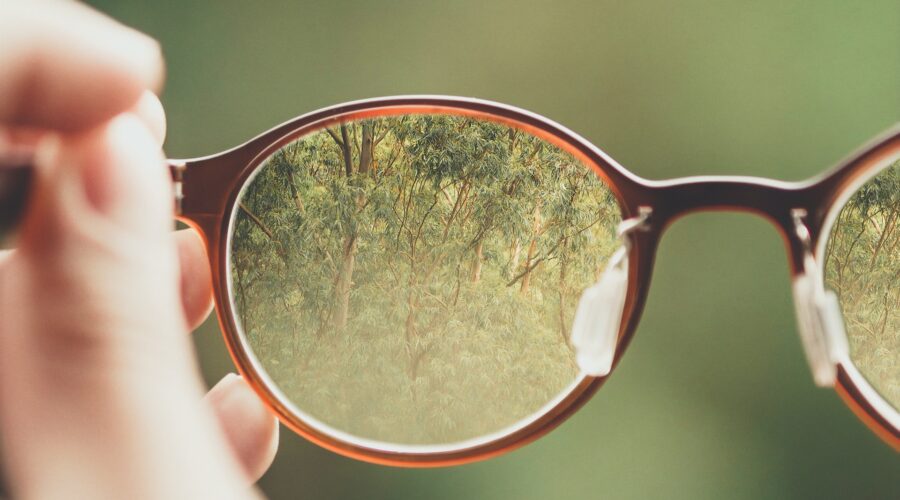 a photo of eyeglasses, the background is out of focus, but we can see the grass clearly through one of the lenses.